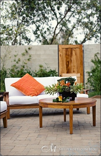 elenadrew_megperotti010 meg perotti