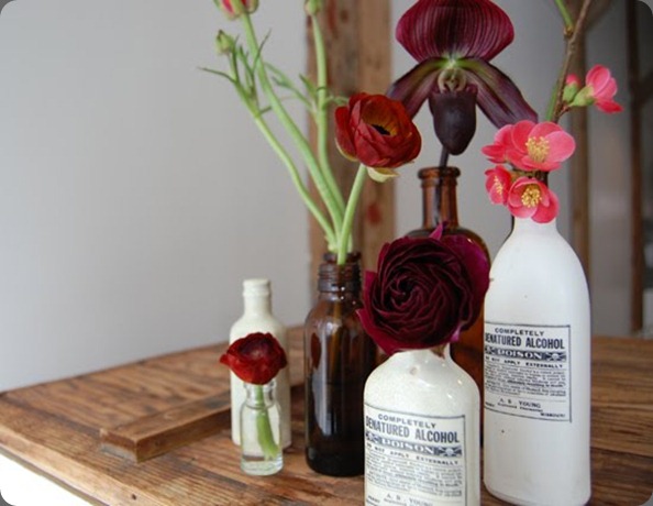 DSC_0048 small stump blogspot