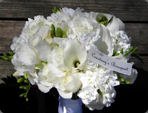 Picture-035-springwell-gardens_thumb