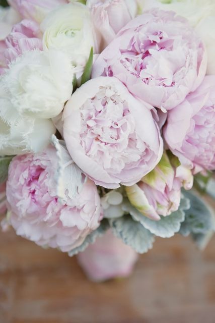 [1-2-heavenly-blooms-and-sweet-and-sa[2].jpg]