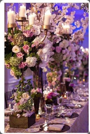 thisbe35 bella flora