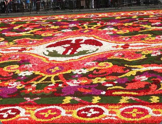 fcarpet0808-16 bloemenvanthura.com fcarpet0808-16 bloemenvanthura.com