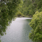 DSCN0015.JPG