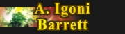 StoryTime Author: A. Igoni Barrett