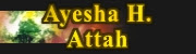 StoryTime Author: Ayesha H. Attah