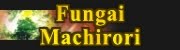 StoryTime Author: Fungai Machirori