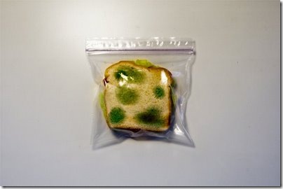 Moldy Things
