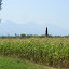 Davutlar 2008-08-21 12-23-56.jpg