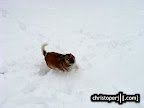 DSC07948.JPG