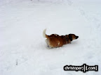 DSC07947.JPG