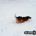 DSC07947.JPG