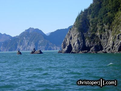 Kenai Fjords Fox Island Nat L Park Cruise Kenai Fjords Fox Island Nat L Park Cruise