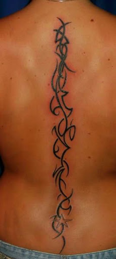 Resim