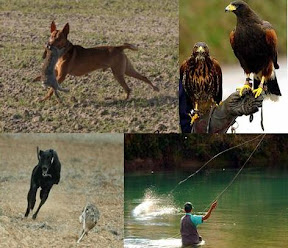 Naturaleza Caza y Pesca