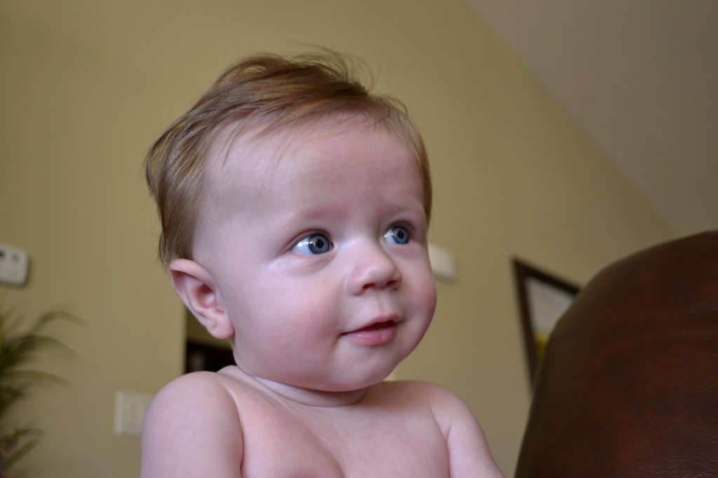 [DSC_0082(revised)[6].jpg]