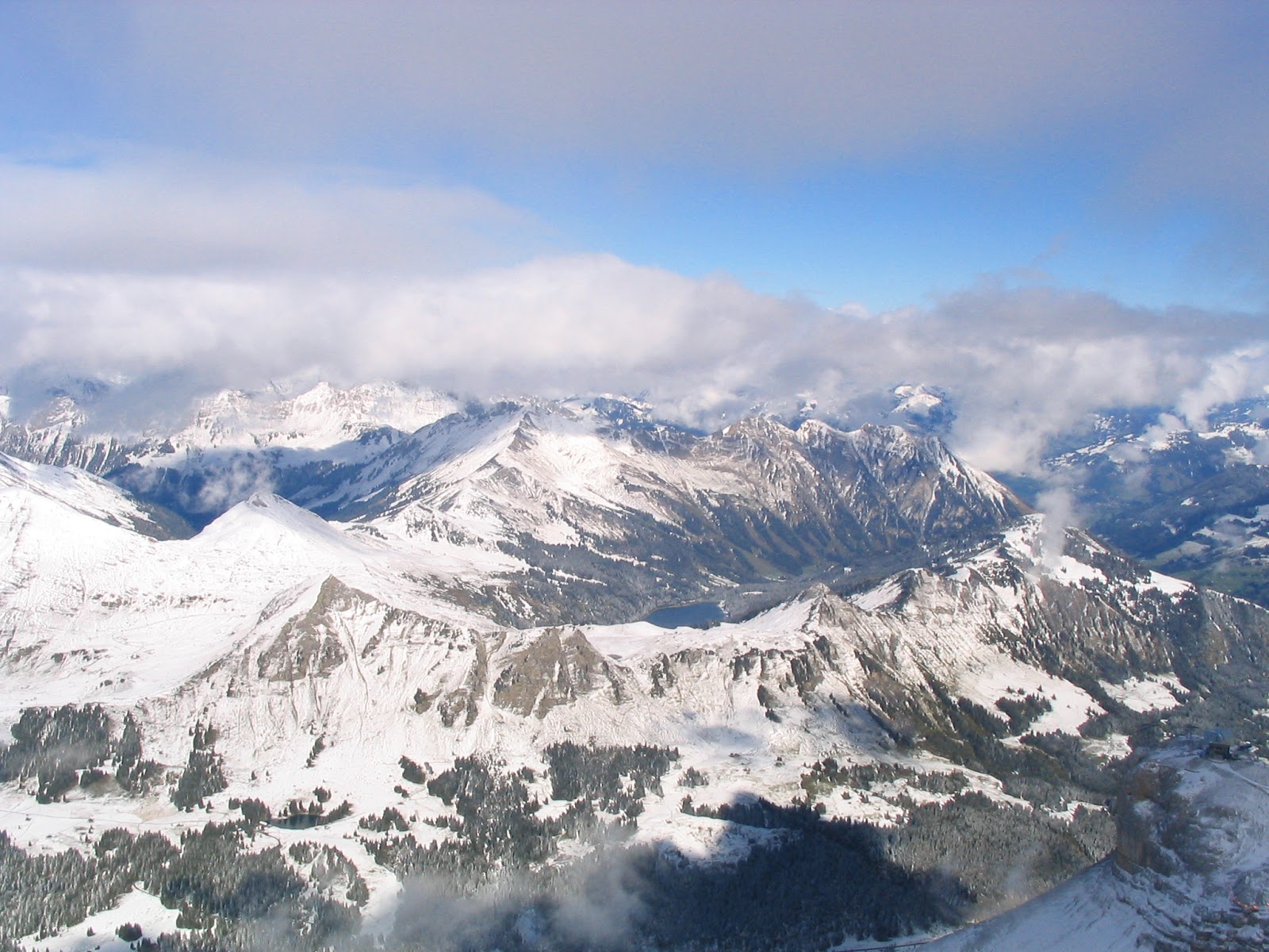 [IMG_0913.JPG]