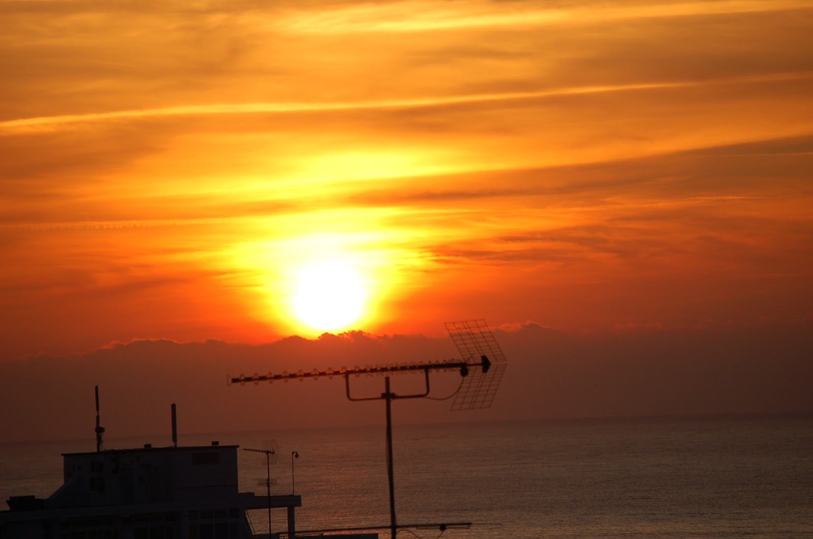[DSC_0161.JPG]