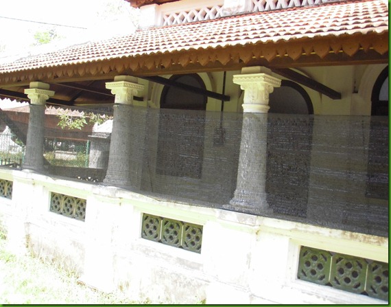P2250225 P2250225