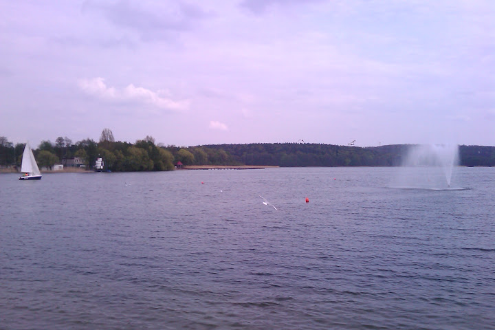 IMAG0257.jpg