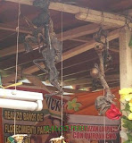 m_feria4.jpg