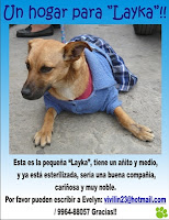 m_LAYKA-EVE-luis.jpg