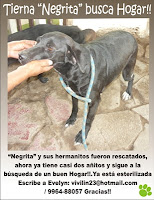 m_NEGRITA-EVE-luis.jpg