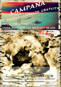 otro afiche copia.jpg