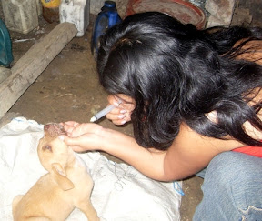 m_saritachanchamayo2010 (31).jpg
