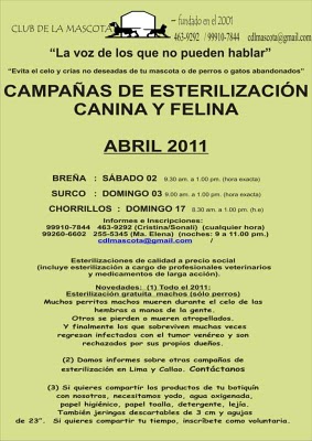 campaña breña.jpg