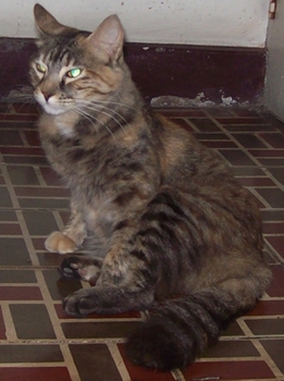 m_sol_911@hotmail.jpg