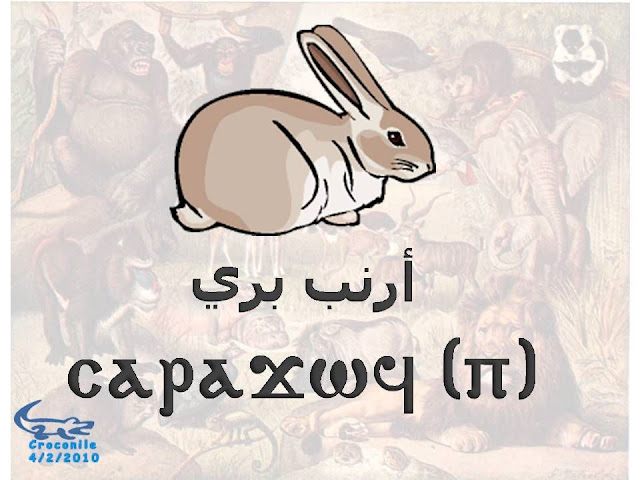 %D8%B7%C2%B4%D8%B7%C2%B1%D8%B8%D9%B9%D8%B7%C2%AD%D8%B7%C2%A923.JPG