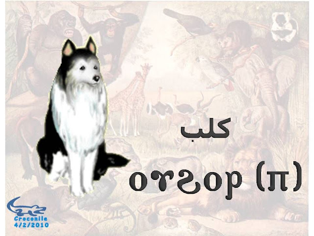 %D8%B7%C2%B4%D8%B7%C2%B1%D8%B8%D9%B9%D8%B7%C2%AD%D8%B7%C2%A924.JPG