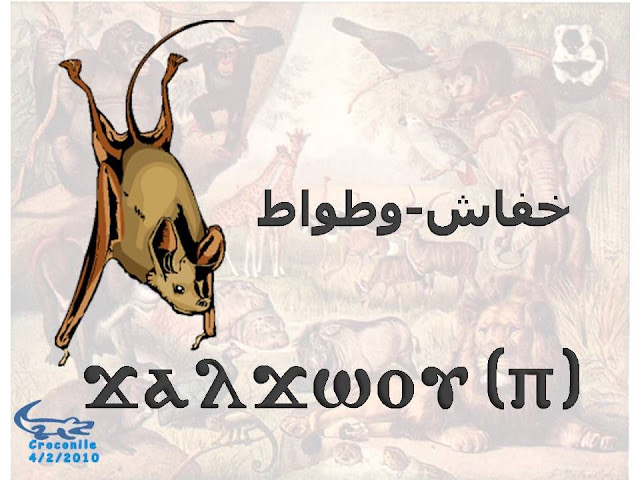 %D8%B7%C2%B4%D8%B7%C2%B1%D8%B8%D9%B9%D8%B7%C2%AD%D8%B7%C2%A927.JPG