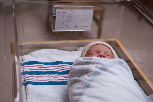 [DSC_0296[3].jpg]