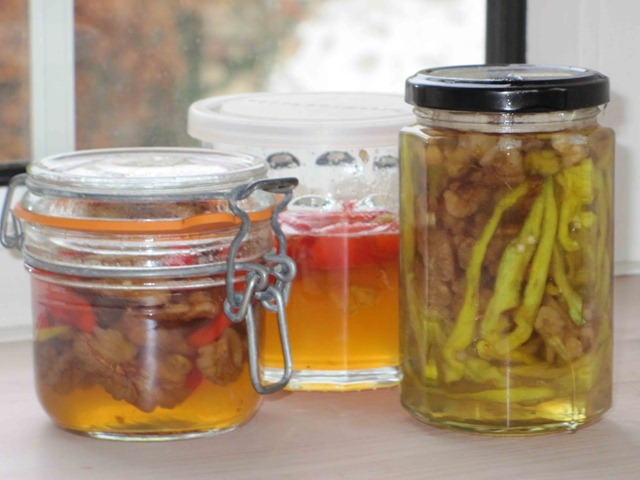 [Habanero,-Early-Jalapeño,-C[2].jpg]