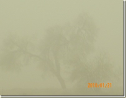 Sandstorm5