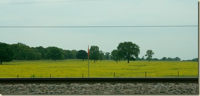 IMG_4649 IMG_4649