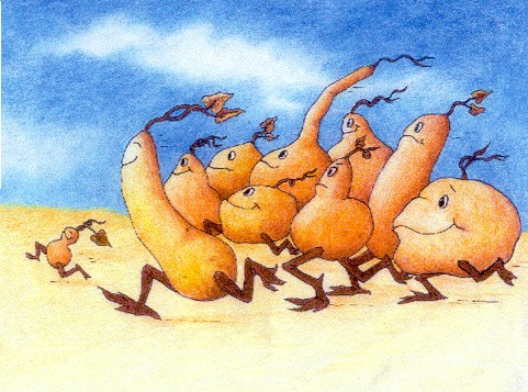 [running of the gourds[5].jpg]