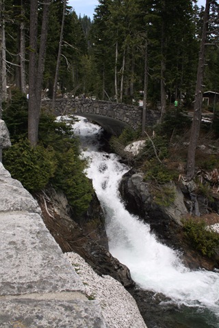 [IMG_93533.jpg]