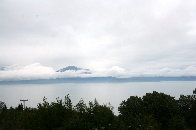 [IMG_08573.jpg]