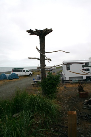 [IMG_08693.jpg]