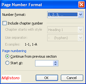 Tab Page Number Format Word 2003