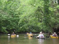 IMG_1034.jpg Photo