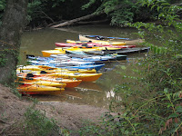 IMG_1080.jpg Photo
