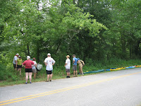 IMG_1203.jpg Photo