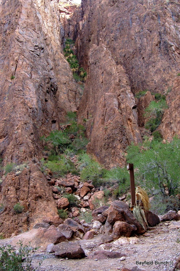 [DSC_0051[2].jpg]