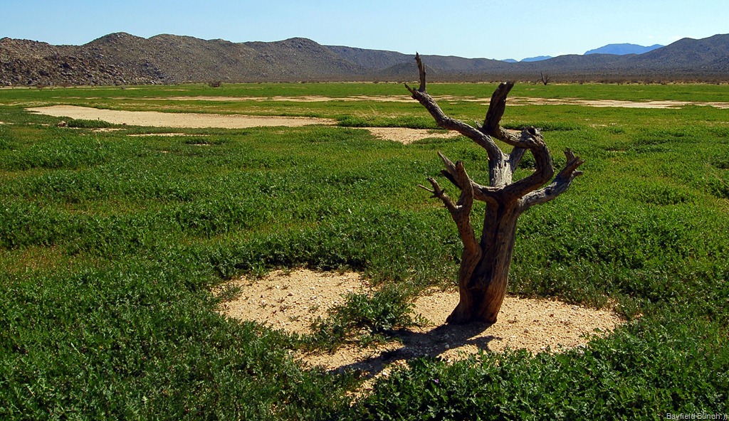 [DSC_0083[7].jpg]