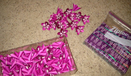 flores2 flores2