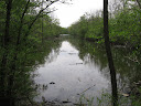 UMD Natural Area 006.jpg