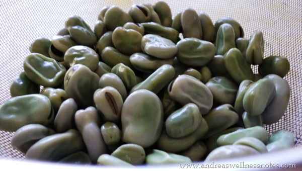 [Fava beans 007[5].jpg]